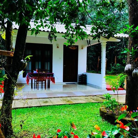 Holly Flowers Villa Sigiriya Exterior photo