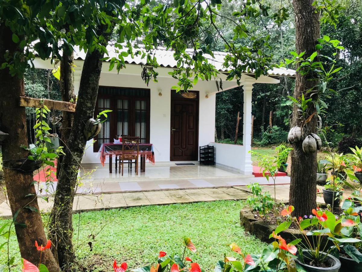 Holly Flowers Villa Sigiriya Exterior photo