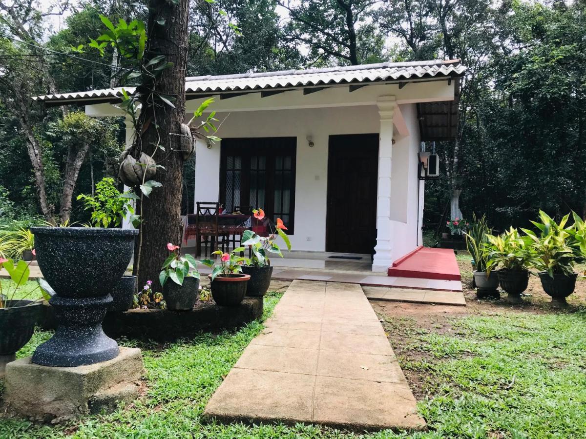 Holly Flowers Villa Sigiriya Exterior photo