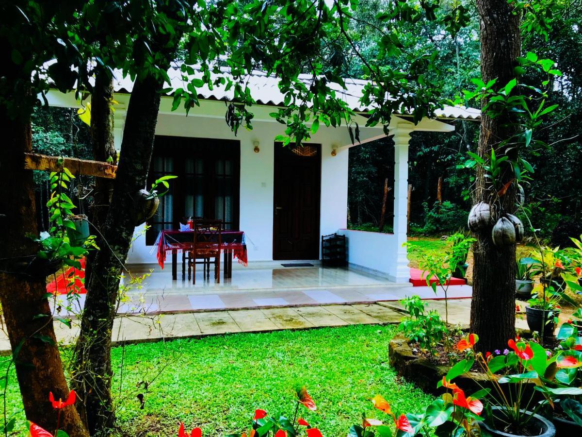 Holly Flowers Villa Sigiriya Exterior photo