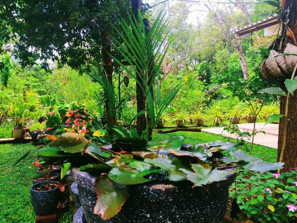 Holly Flowers Villa Sigiriya Exterior photo