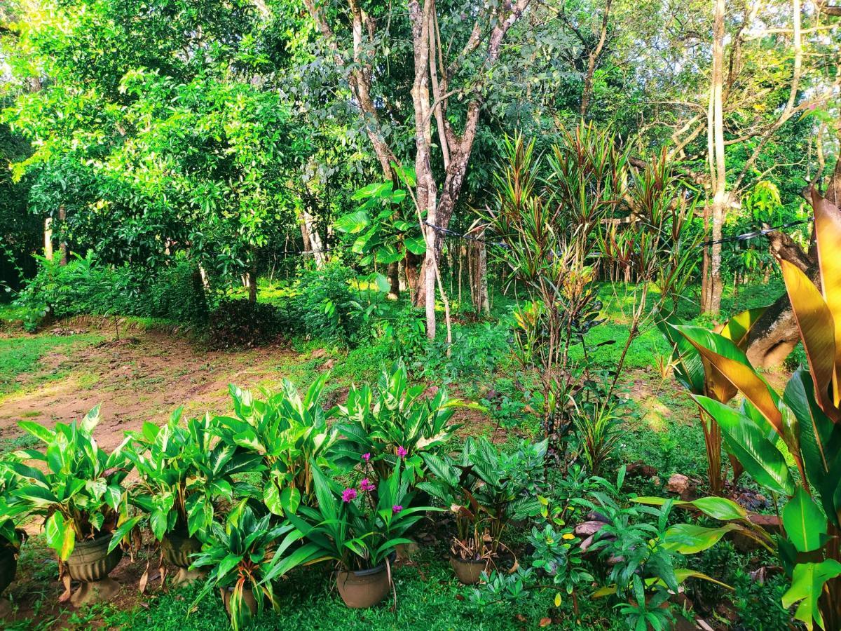 Holly Flowers Villa Sigiriya Exterior photo