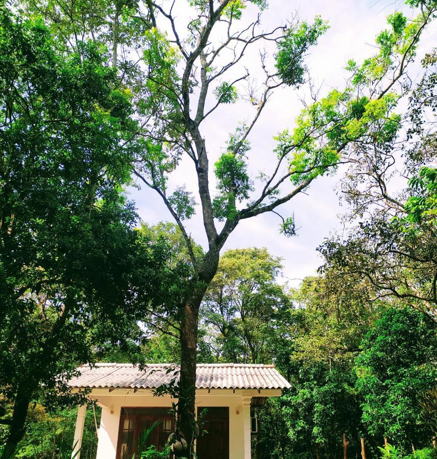 Holly Flowers Villa Sigiriya Exterior photo